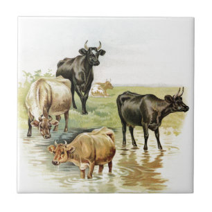 Antike landwirtschaftliche Nutztiere Kühe Fliese