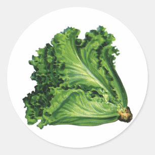 Antike Lebensmittel, Grüner Salat Gemüse Runder Aufkleber