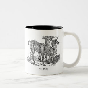 Antike Llama-Illustration aus dem 19. Jahrhundert Zweifarbige Tasse