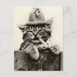 Antike lustige Nostalgie süße Katze/Kätzchen Postkarte