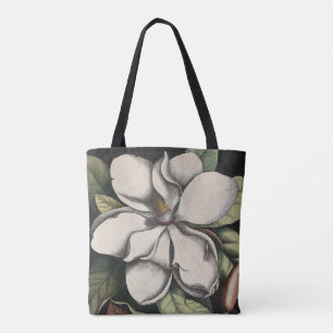 Antike Magnolie