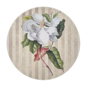 Antike Magnolienblüte auf Streifen Schneidebrett