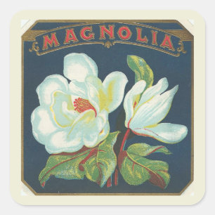 Antike Magnolienblüte Quadratischer Aufkleber