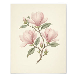 Antike Magnolienzweig Elegante Pflanzenkunst Fotodruck