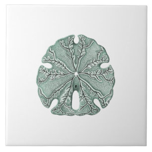 Antike Meer Sanddollar-Illustration Fliese