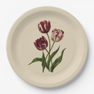Antike mehrfarbige Tulpen Pappteller