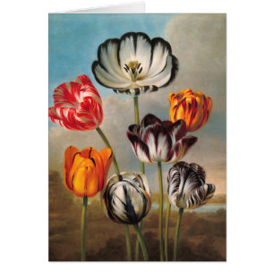 Antike mehrfarbige Tulpenblumen in einer Landschaf