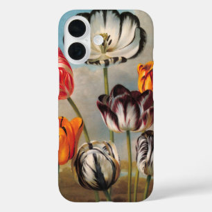 Antike mehrfarbige Tulpenblumen in einer Landschaf iPhone 16 Hülle
