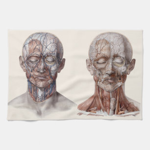 Antike menschliche Anatomie Wissenschaft, Kopf Keh Geschirrtuch