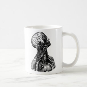Antike menschliche obere Torso Anatomie Zeichnung Tasse
