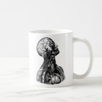 Antike menschliche obere Torso Anatomie Zeichnung Tasse
