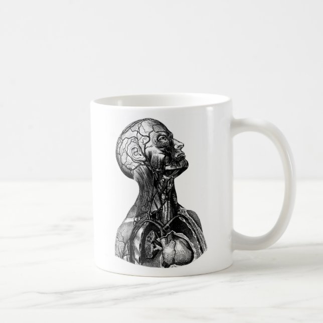 Antike menschliche obere Torso Anatomie Zeichnung  Tasse (Rechts)