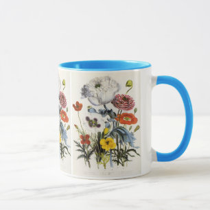 Antike Mohnblumen im Garten, viktorianische Blumen Tasse