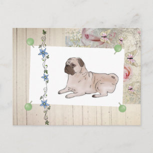 antike Mops Postkarte