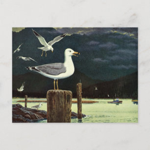 Antike Möwe auf Pier, Meeresvögel Tiere Postkarte