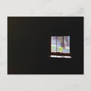 Antike Narzissen-Fenster-Postkarte Postkarte