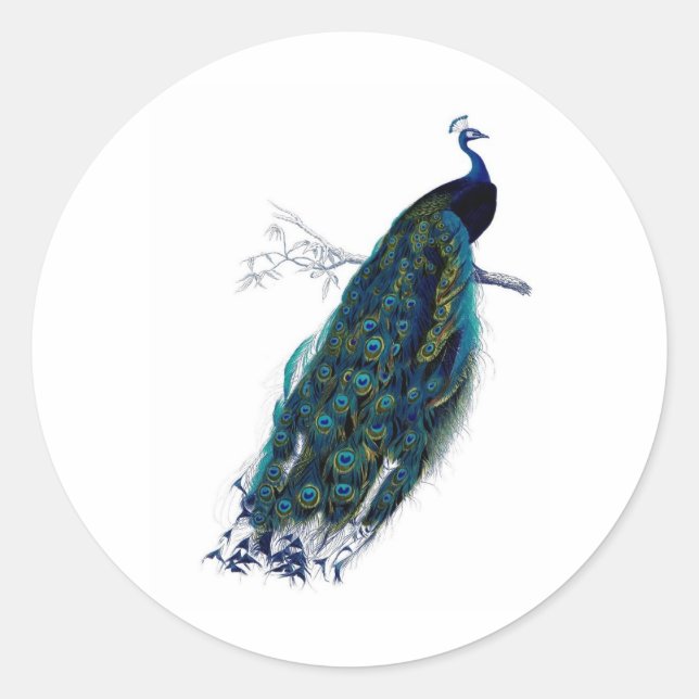 Antike Naturgeschichte Runder Aufkleber (Vorderseite)