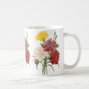 Antike Nelken Dianthus Gartenblumen Redoute Kaffeetasse