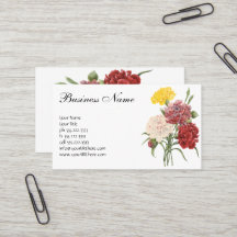 Antike Nelken Dianthus Gartenblumen Redoute
