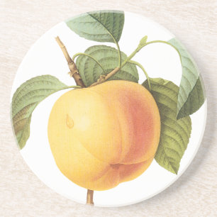 Antike Obstnahrung, Calville Apfel von Redoute Sandstein Untersetzer
