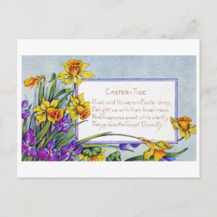 Antike Oster-Narzisse Blume Postkarte