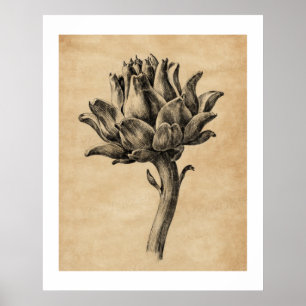 Antike Papierstruktur Artischocke von Jean Bernard Poster