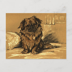 Antike Pekingesen Postkarte