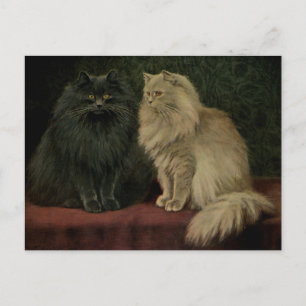 Antike Perserkatze Postkarte