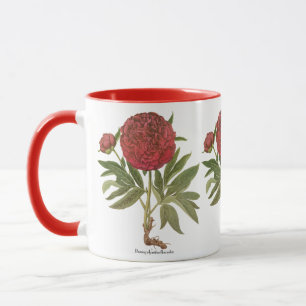 Antike Pfingstrosen, Pfingstrosen-Blumen von Basil Tasse