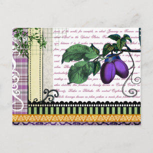 Antike Pflaumen Fruchtcollage Postkarte