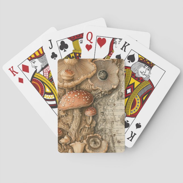 Antike Pilz-Botanik-Tafel (1) Spielkarten (Rückseite)