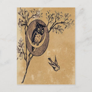 Antike Postkarte mit Eule