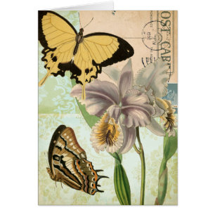 Antike Postkarte mit Schmetterlingen und Blumen
