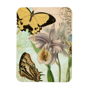Antike Postkarte mit Schmetterlingen und Blumen Magnet