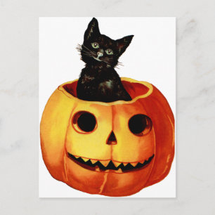 Antike Postkarte mit schwarzer Katze und Kürbis