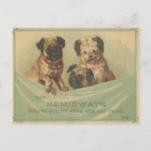 Antike Postkarte mit süßen Scrapbook-Hunden