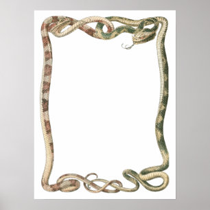 Antike Reptilien, ineinander verschlungene Schlang Poster