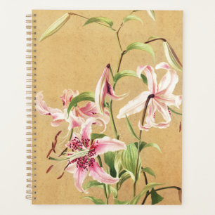 Antike rosa orientalische Lilie botanische Blumenk Planer
