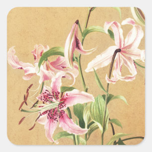 Antike rosa orientalische Lilie botanische Blumenk Quadratischer Aufkleber
