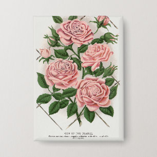 Antike Rosa Rose Botanische Cottagecore Kunst Button