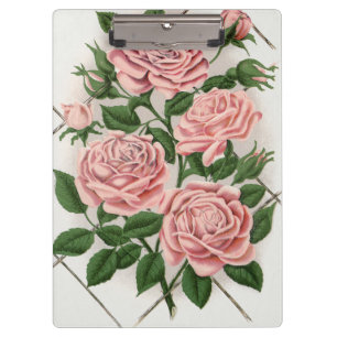 Antike rosa Rose botanische Cottagecore-Kunst Klemmbrett