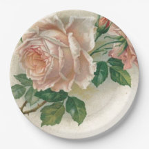 Antike rosa Rose