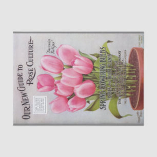Antike rosa Tulpen Gartenkatalog Seidenpapier