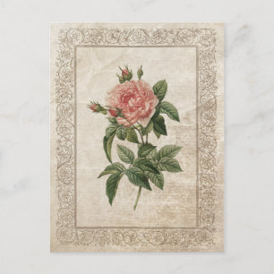Antike Rose I Postkarte