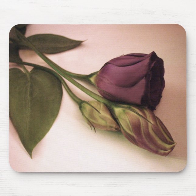 Antike Rose Mousepad (Vorne)
