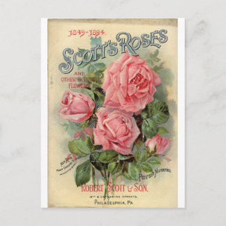 Antike Rose Postkarte