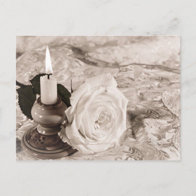 Antike Rose Postkarte (Vorderseite)