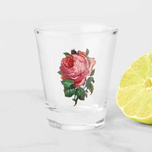 Antike Rose Schnapsglas (Vorderseite)
