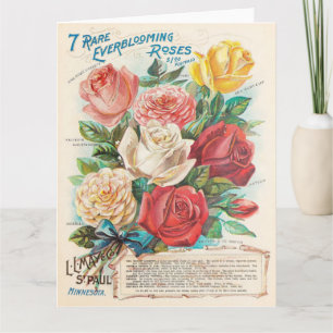 Antike Rosen Farbige Schöne Ephemera-Grußkarte Karte