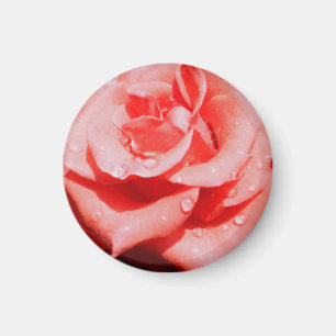 Antike Rosen Magnet